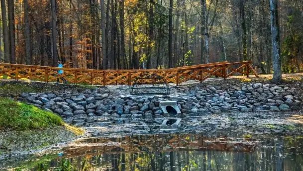 Las miejski w Giżycku pod koniec jesieni, listopad 2021 r. - zdjęcie 7