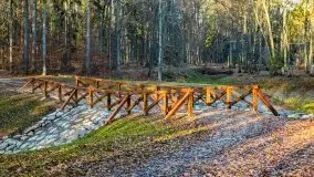 Las miejski w Giżycku pod koniec jesieni, listopad 2021 r. - zdjęcie 56