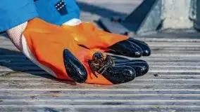 Fotorelacja z sprzątania dna w Ekomarinie Giżycko - zdjęcie 63