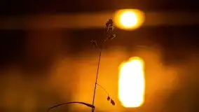 Listopadowy zachód słońca nad jeziorem Tałty, Skorupki - zdjęcie 26