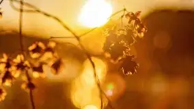 Zachód słońca nad jeziorem Tajty, widoczny z Pięknej Góry - zdjęcie 28