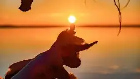 Grudniowy wschód słońca nad jeziorem Niegocin - zdjęcie 60