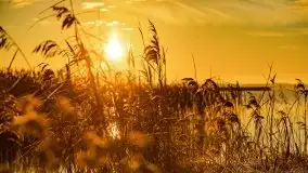 Grudniowy wschód słońca nad jeziorem Niegocin - zdjęcie 45