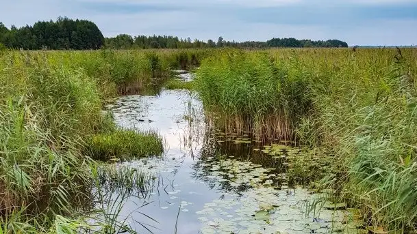 Zdjęcia: Niezapomniane Wyprawy - Pętla Mazurska w wykonaniu Marka - zdjęcie 7