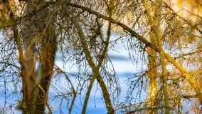 Przedwiośnie 2021 w lesie niedaleko Szczybałów Giżyckich - zdjęcie 22