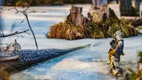 Przedwiośnie 2021 w lesie niedaleko Szczybałów Giżyckich - zdjęcie 11