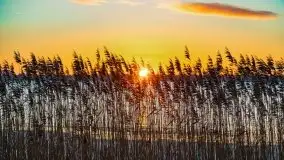 Wschód słońca nad jeziorem Łabap w Radziejach - zdjęcie 18