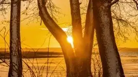 Wschód słońca nad jeziorem Łabap w Radziejach - zdjęcie 66