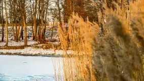 Styczniowy zachód słońca nad jeziorem Święcajty, 2022 r. - zdjęcie 30