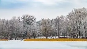 Księżycowy Dworek i jezioro Siercze w okowach zimy - zdjęcie 15