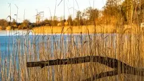 Wschód słońca nad jeziorami Boczne i Niegocin, styczeń 2022 r. - zdjęcie 55