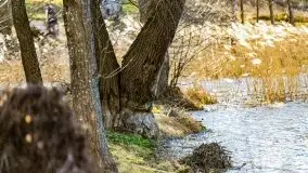 Słoneczny styczeń 2022 nad jeziorami Świętajno i Dworackie - zdjęcie 15