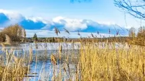 Słoneczny styczeń 2022 nad jeziorami Świętajno i Dworackie - zdjęcie 10