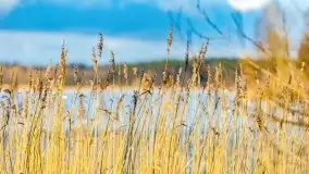 Słoneczny styczeń 2022 nad jeziorami Świętajno i Dworackie - zdjęcie 19