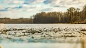 Słoneczny styczeń 2022 nad jeziorami Świętajno i Dworackie - zdjęcie 20