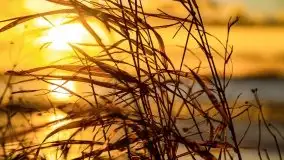 Styczniowe słońce, jezioro Dargin i kra... - zdjęcie 24