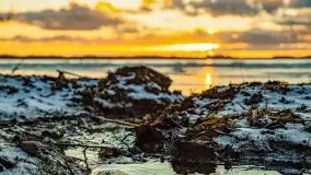 Styczniowe słońce, jezioro Dargin i kra... - zdjęcie 29