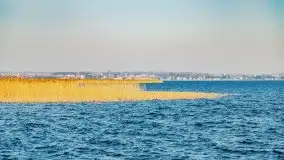 Zimowa wersja portu PTTK Wilkasy i tawerny Dezeta - zdjęcie 26