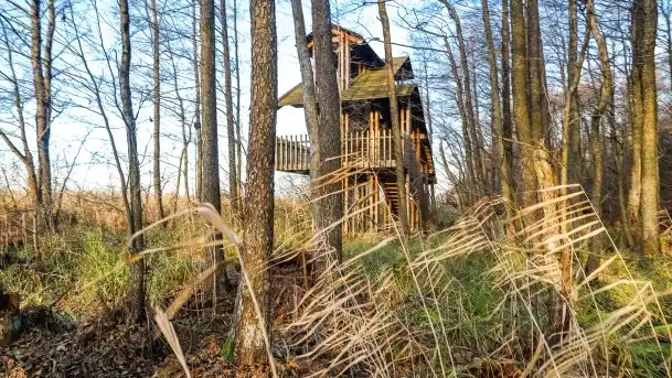 Wieża widokowa nad jeziorem Łuknajno - zdjęcie 8