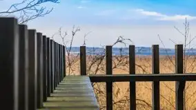 Wieża widokowa nad jeziorem Łuknajno - zdjęcie 3