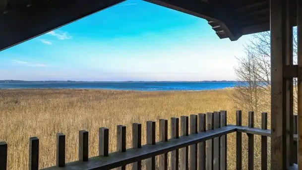 Wieża widokowa nad jeziorem Łuknajno - zdjęcie 4