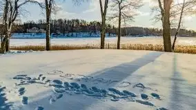 Zimowa Stranda i jezioro Kisajno, styczeń 2022 r. - zdjęcie 18