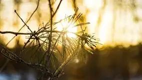 Zachód słońca przy wyspie Wydmińskiej, marzec 2021 r. - zdjęcie 12