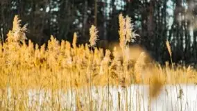 Zachód słońca przy wyspie Wydmińskiej, marzec 2021 r. - zdjęcie 8