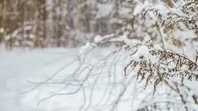 Zimowe widoki, pomiędzy Giżyckiem a Wilkasami - zdjęcie 26