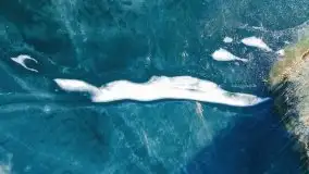 Zimowa sceneria nad plażą przy jeziorze Szóstak - zdjęcie 12