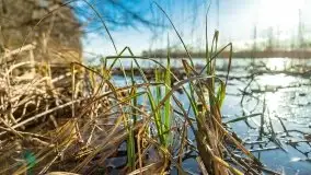 Zimowa sceneria nad plażą przy jeziorze Szóstak - zdjęcie 42