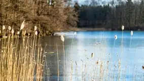 Zimowa sceneria nad plażą przy jeziorze Szóstak - zdjęcie 39