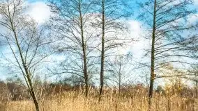 Zimowe jeziora przy Malinówce Wielkiej - zdjęcie 18