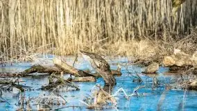 Zimowe jeziora przy Malinówce Wielkiej - zdjęcie 5