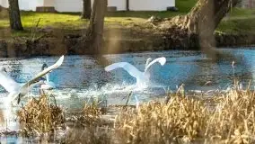 Zimowe jeziora przy Malinówce Wielkiej - zdjęcie 46