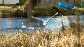 Zimowe jeziora przy Malinówce Wielkiej - zdjęcie 43