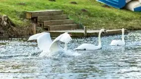 Zimowe jeziora przy Malinówce Wielkiej - zdjęcie 34