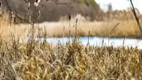 Zimowe jeziora przy Malinówce Wielkiej - zdjęcie 33