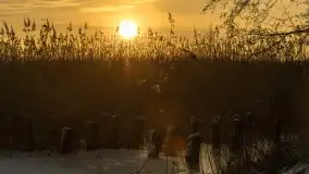 Wschód słońca nad jeziorem Niegocin w Wilkasach - zdjęcie 31