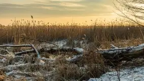 Wschód słońca nad jeziorem Niegocin w Wilkasach - zdjęcie 40