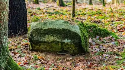 Kamienie ofiarne w okolicach jeziora Kruklin