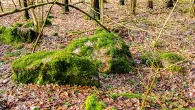 Kamienie ofiarne w okolicach jeziora Kruklin - zdjęcie 19