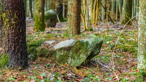 Kamienie ofiarne w okolicach jeziora Kruklin - zdjęcie 9