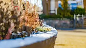 Zimowe Mikołajki, luty 2022 r. - zdjęcie 37