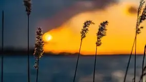 Zachód słońca nad jeziorem Niegocin, Bystry, luty 2021 - zdjęcie 48