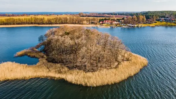 Wierzba i puszcza Piska, luty 2022 r. - zdjęcie 10