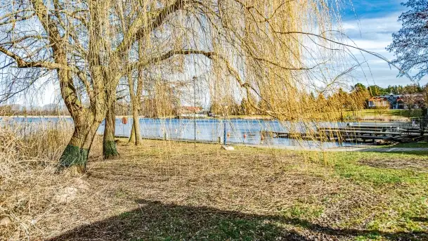 Wierzba i puszcza Piska, luty 2022 r. - zdjęcie 8