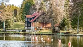 Wierzba i puszcza Piska, luty 2022 r. - zdjęcie 13