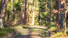 Wierzba i puszcza Piska, luty 2022 r. - zdjęcie 33