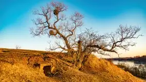 Zachód słońca nad grodziskiem Święta Góra i jeziorem Wojnowo, luty 2022 r. - zdjęcie 3